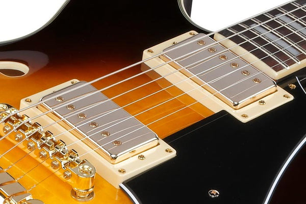 Đàn Guitar Điện Ibanez JSM10EM