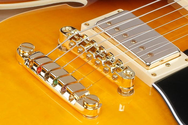Đàn Guitar Điện Ibanez JSM10EM