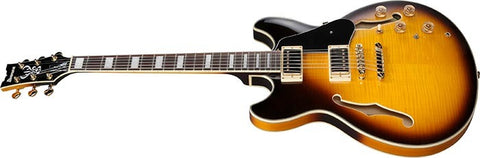 Đàn Guitar Điện Ibanez JSM10EM