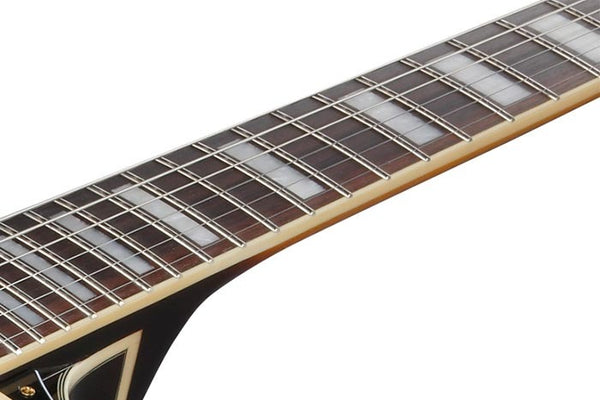 Đàn Guitar Điện Ibanez JSM10EM