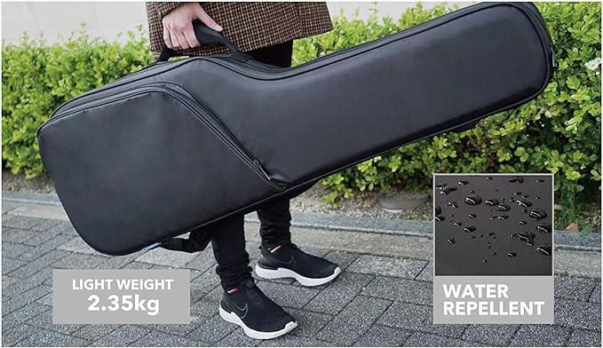 Bao Đàn Guitar Điện Ibanez IGB724 màu Black