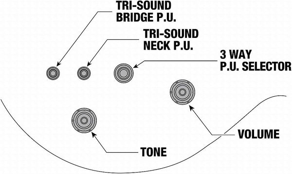 Ibanez Standard AR520H Controls