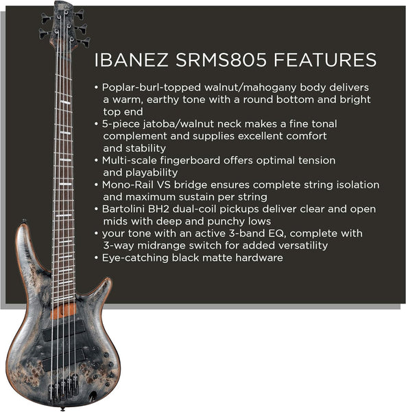 Đàn Guitar Bass 5-dây Ibanez Bass Workshop SRMS805