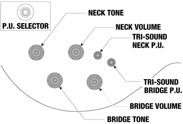 Ibanez Standard AR420 Controls