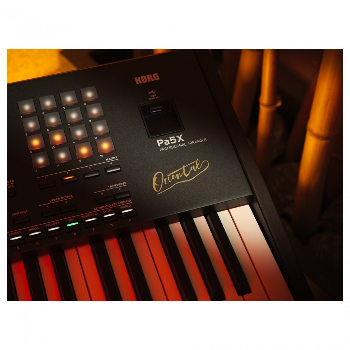 Đàn Keyboard Arranger Workstation Korg Pa5X Oriental 61-Phím Professional