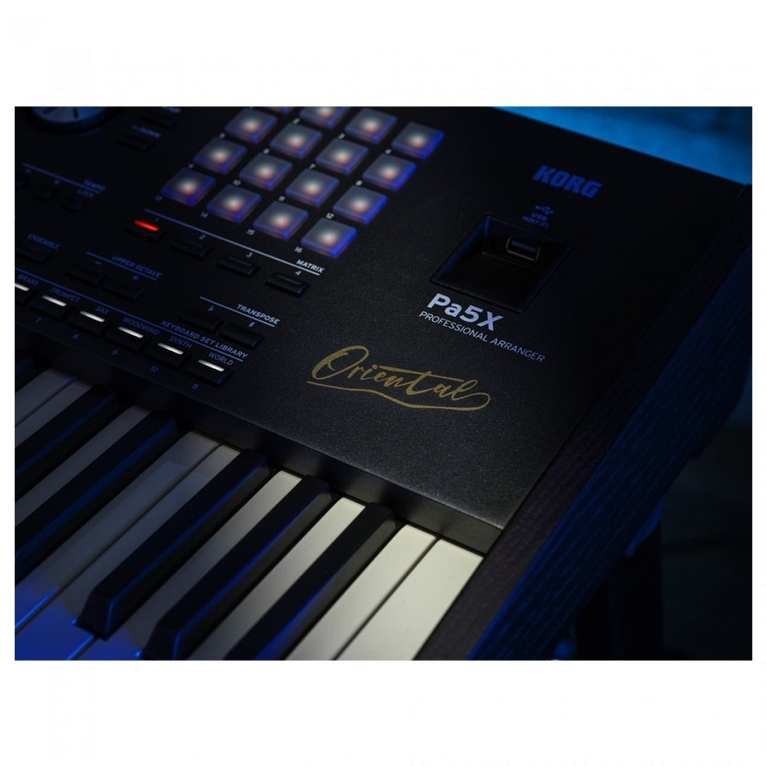 Đàn Keyboard Arranger Workstation Korg Pa5X Oriental 61-Phím Professional