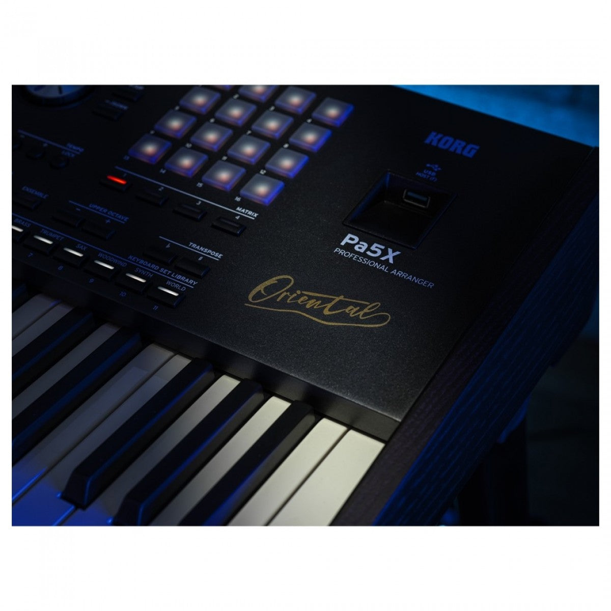 Đàn Keyboard Arranger Workstation Korg Pa5X Oriental 61-Phím Professional