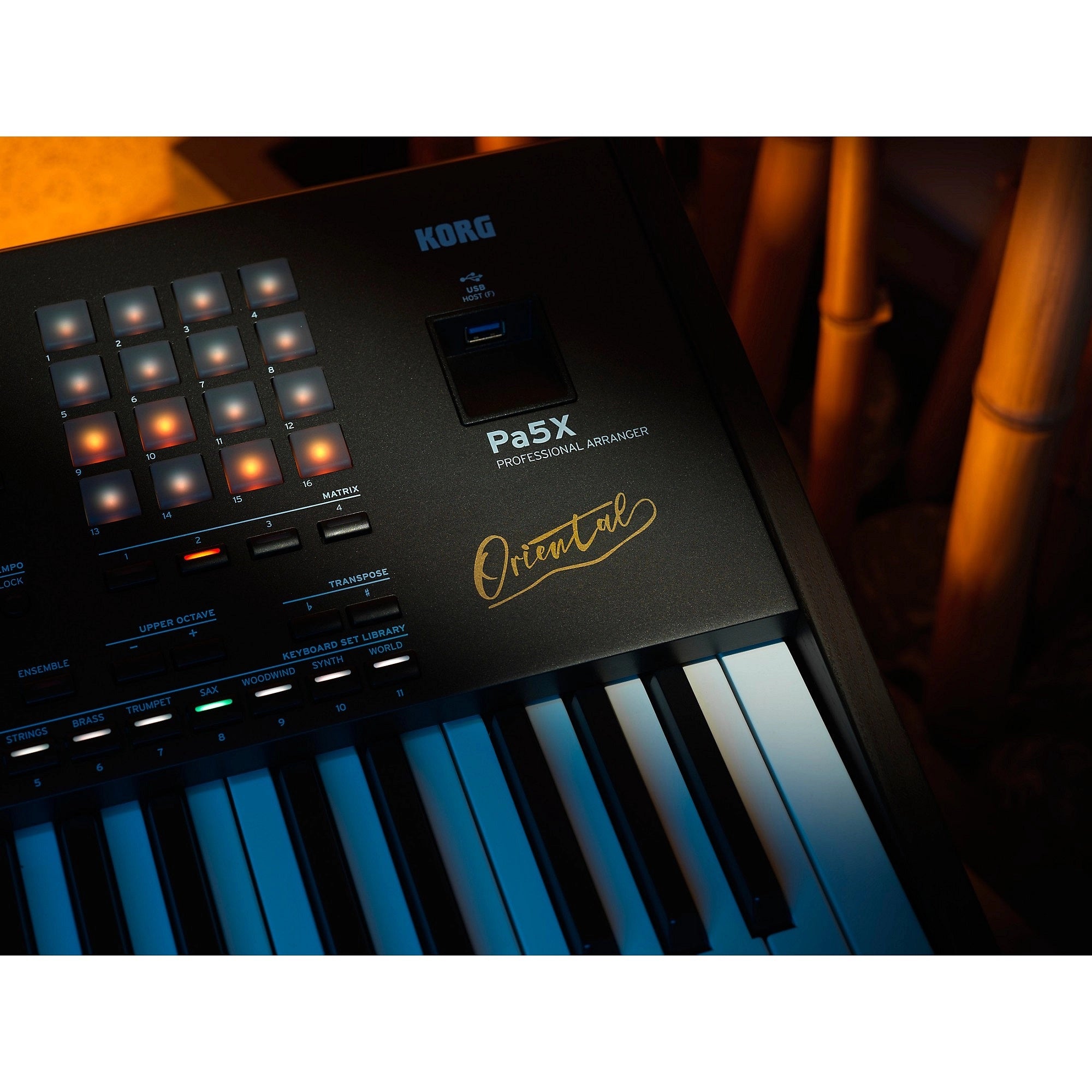 Đàn Keyboard Arranger Workstation Korg Pa5X Oriental 76-Phím Professional