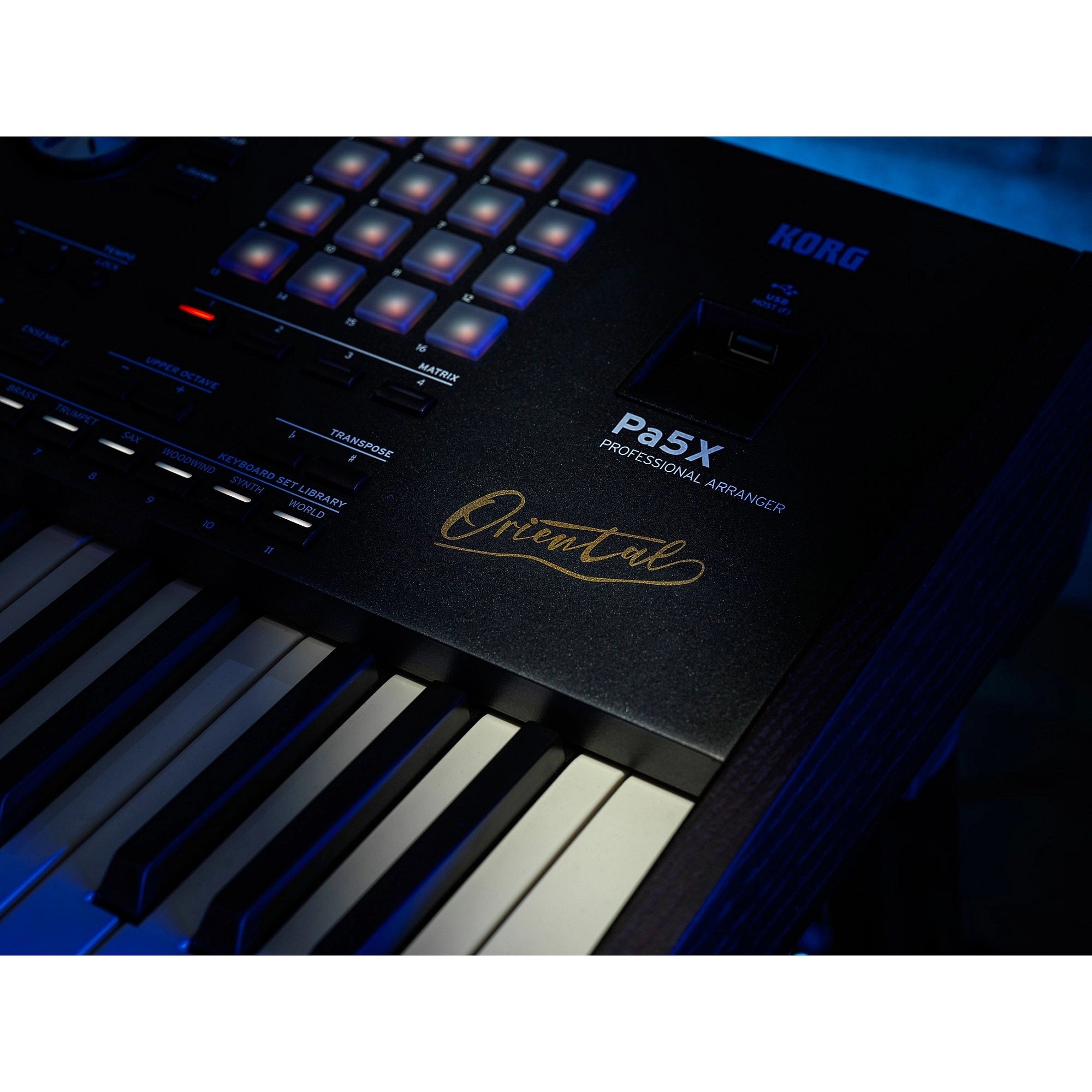 Đàn Keyboard Arranger Workstation Korg Pa5X Oriental 76-Phím Professional