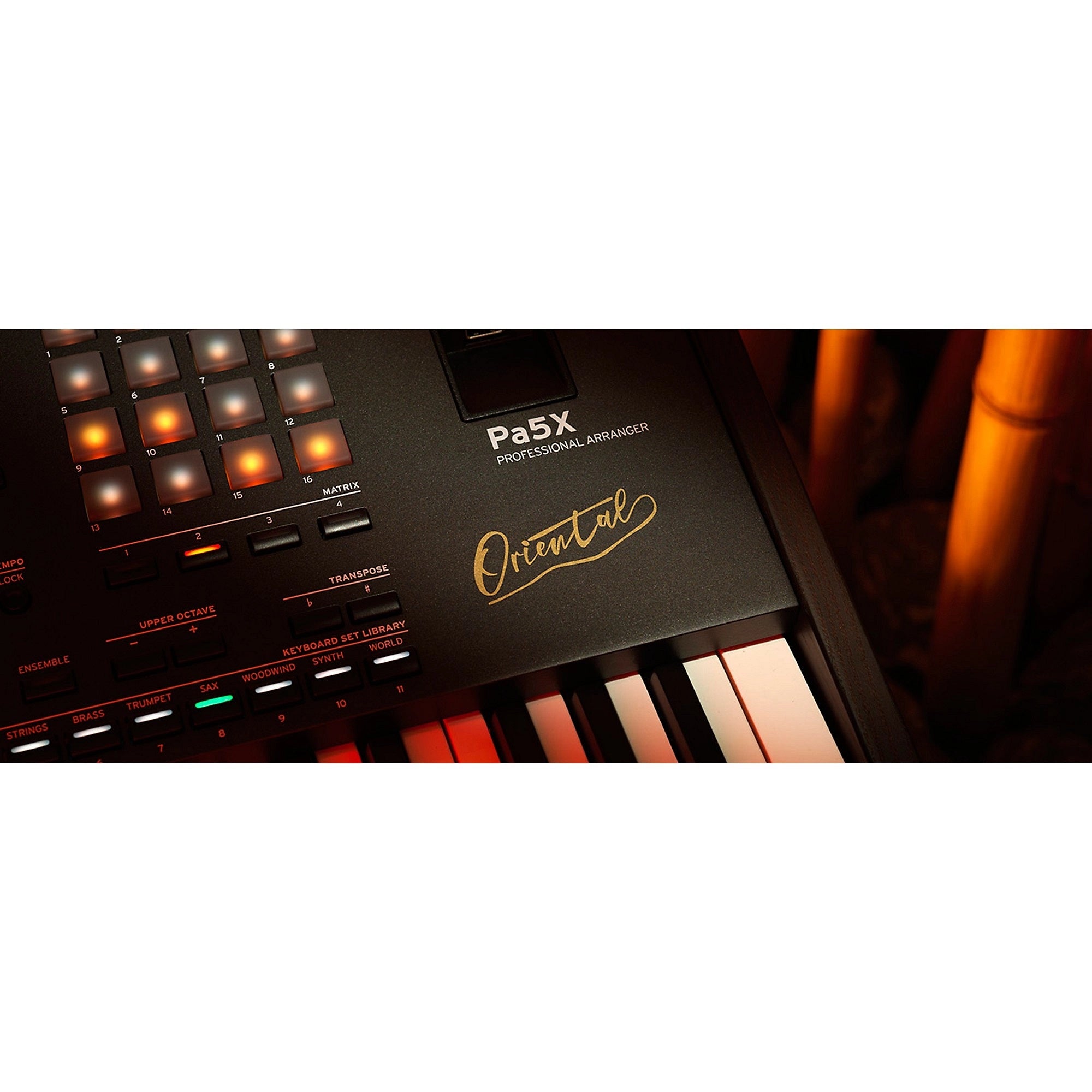 Đàn Keyboard Arranger Workstation Korg Pa5X Oriental 76-Phím Professional