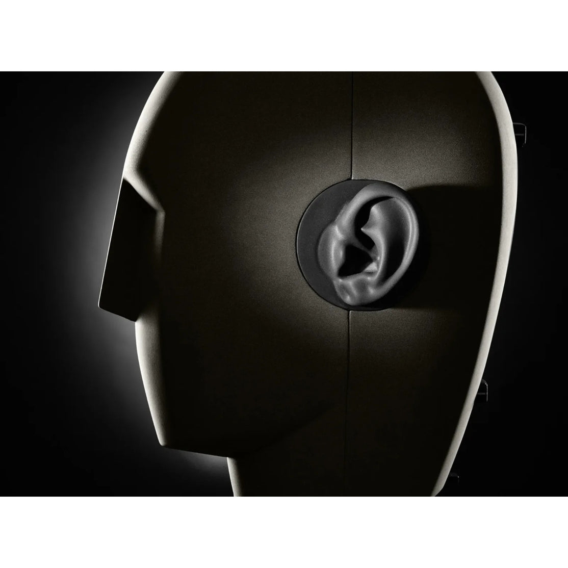 Micro Thu Âm Neumann KU 100 Dummy Head