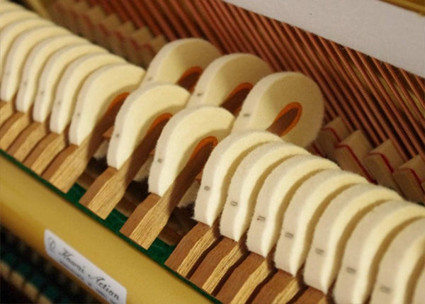Kawai-NS10M