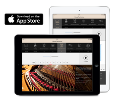 Một kỹ thuật viên piano lành nghề có thể cá nhân hóa âm thanh và phản hồi cảm ứng của đàn piano cơ