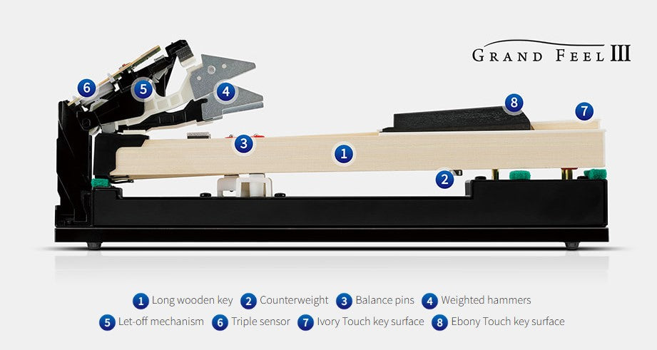 Cơ cấu thiết kế và hoạt động của phím đàn piano