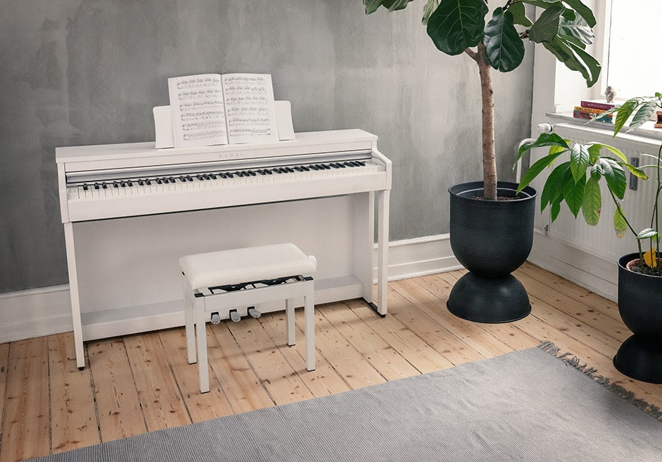 Đàn Piano Điện Kawai CN201