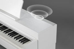 Không có đối thủ trong phân khúc, CN37 có hệ thống loa 4 chiều cải tiến được thiết kế để tái tạo toàn bộ phổ hài hòa của một cây đàn piano cơ.