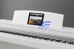Ngoài các cổng USB và MIDI tiêu chuẩn, Dòng CN mới còn tự hào có công nghệ Bluetooth MIDI tích hợp, cho phép đàn piano kỹ thuật số giao tiếp không dây với các thiết bị thông minh được hỗ trợ.