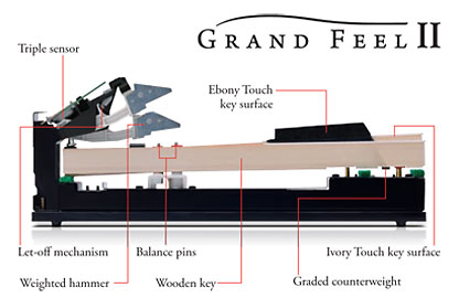 Kawai's The Grand Feel (GF) và Grand Feel II (GFII) là những bộ máy phím gỗ mới nhất của Kawai.