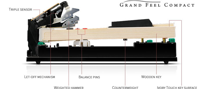 bộ cơ Grand Feel Compact (GF-C) đã được thiết kế để tái tạo đặc điểm trọng lượng cảm ứng đích thực của bộ cơ bàn phím Grand Feel hàng đầu trong ngành, trong một kiểu dáng nhỏ hơn.