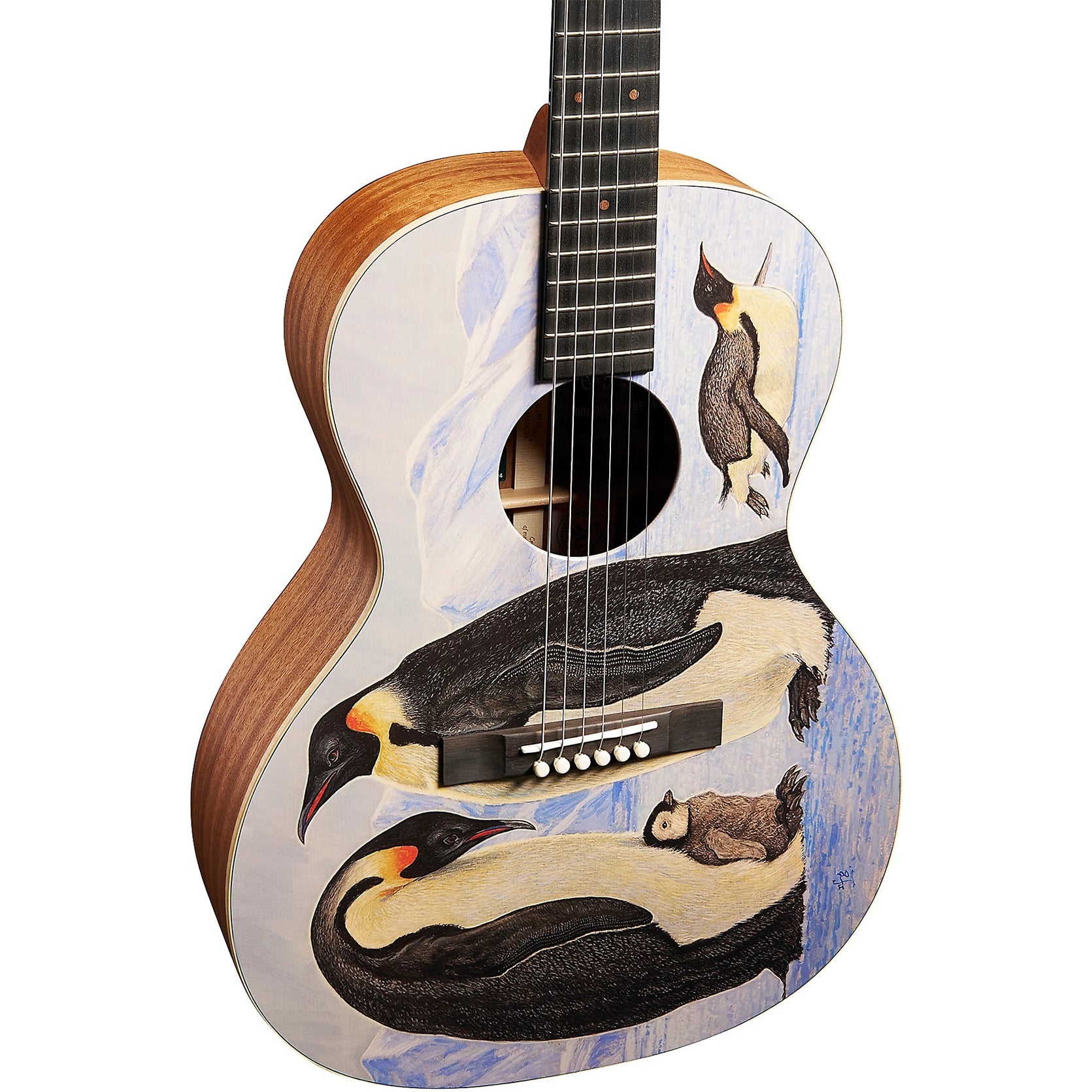 Đàn Guitar Acoustic Martin 00L Biosphere IV Custom & Special Editions