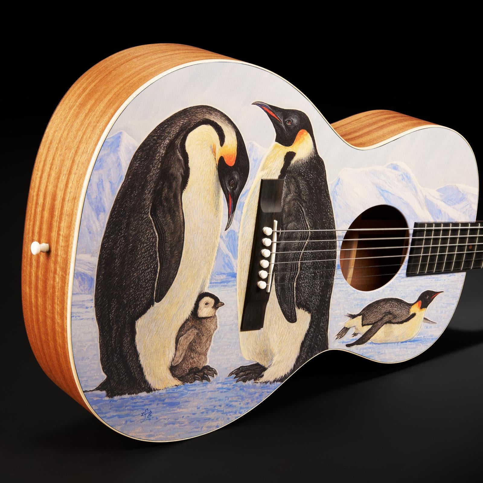 Đàn Guitar Acoustic Martin 00L Biosphere IV Custom & Special Editions
