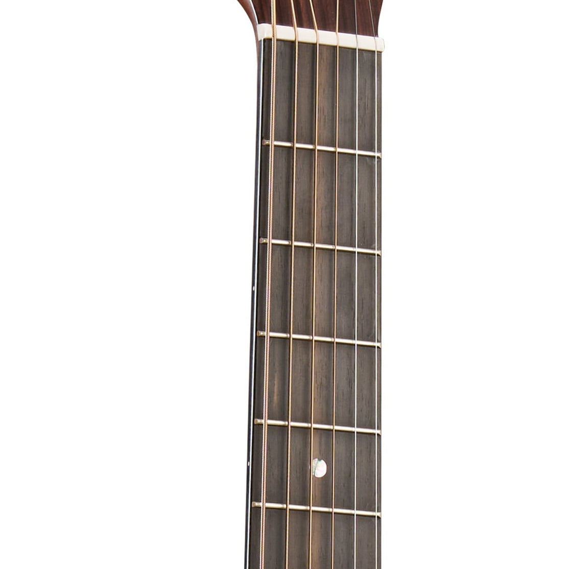 Đàn Guitar Acoustic Martin Custom Shop D-18 2025 Custom & Special Editions