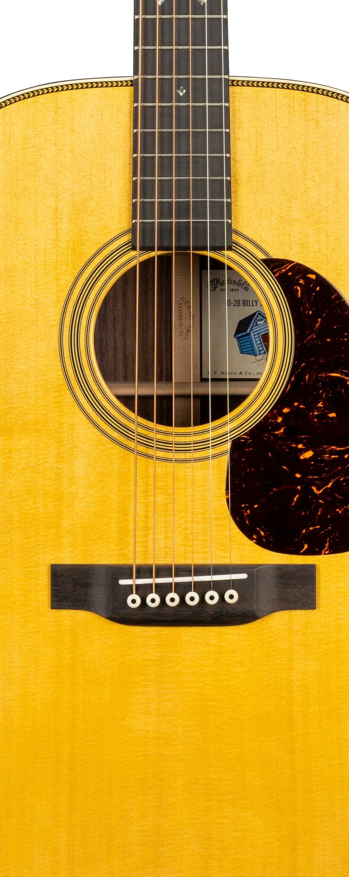 Đàn Guitar Acoustic Martin D-28 Billy Strings Custom & Special Editions