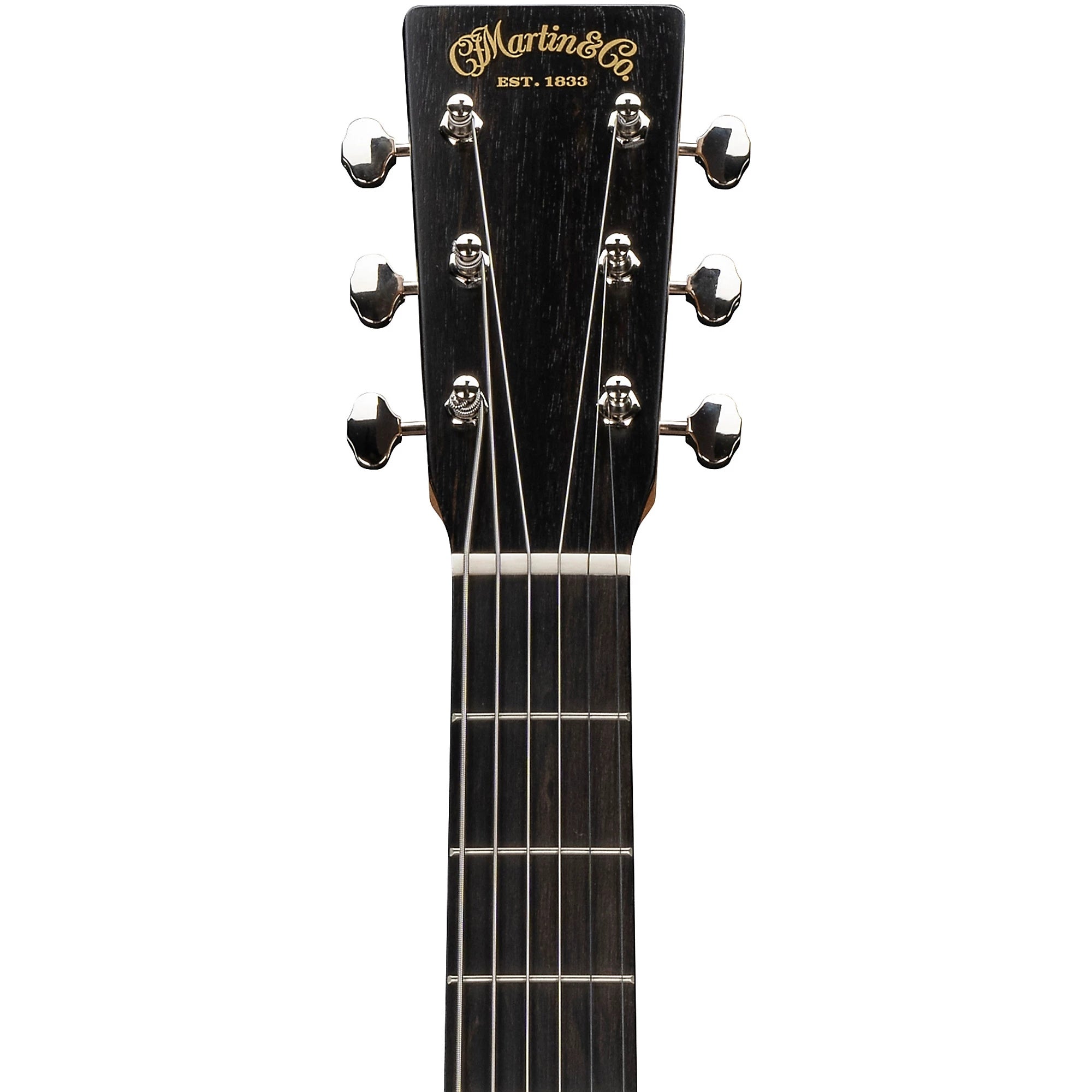 Đàn Guitar Acoustic Martin D Biosphere III Custom & Special Editions - Polar Bear-Mai Nguyên Music