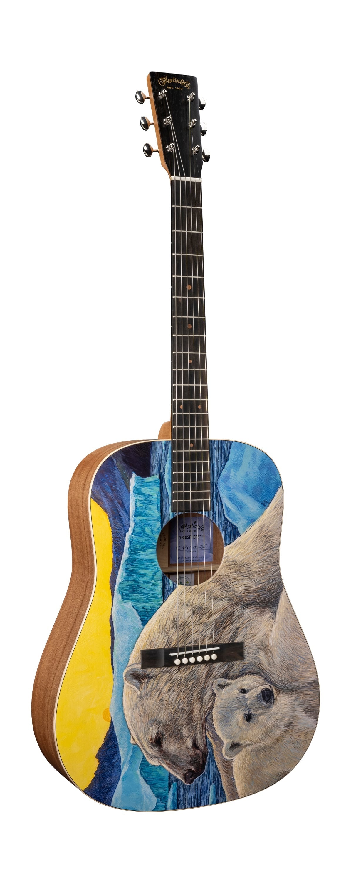 Đàn Guitar Acoustic Martin D Biosphere III Custom & Special Editions - Polar Bear-Mai Nguyên Music