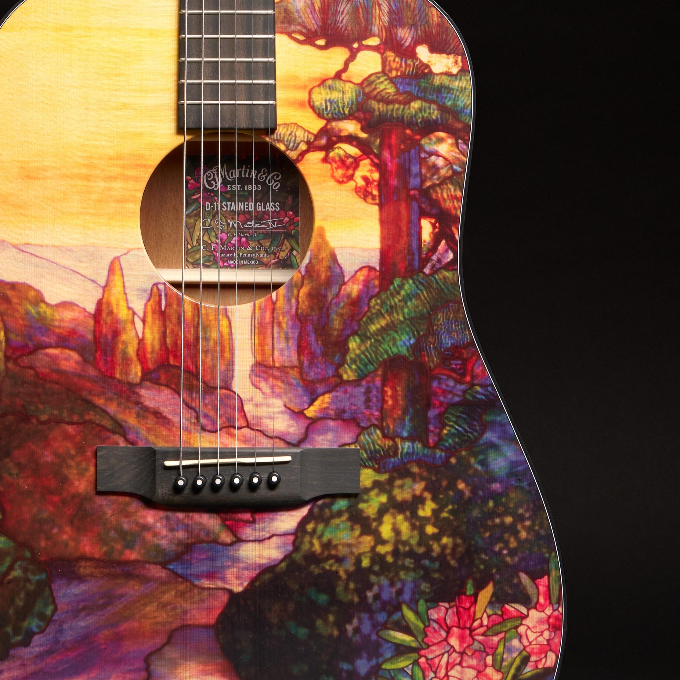 Đàn Guitar Acoustic Martin D-11 Stained Glass Custom & Special Editions