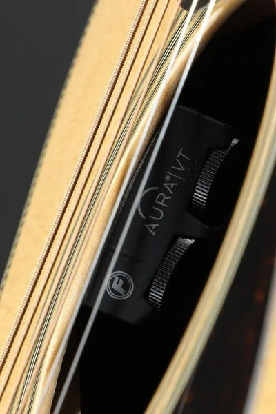 Tuỳ chọn trang bị bộ khuếch đại Fishman Aura VT Enhance