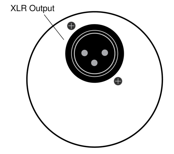 Cổng kết nối XLR