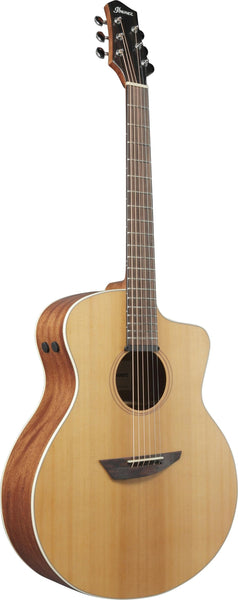 Đàn Guitar Acoustic Ibanez PA230E-NSL