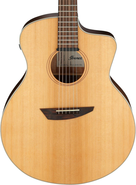 Đàn Guitar Acoustic Ibanez PA230E-NSL