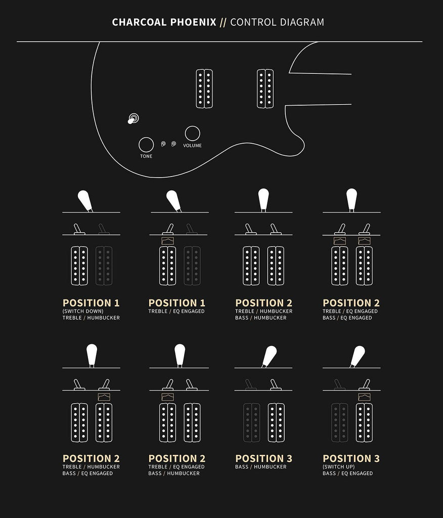 Đàn Guitar Điện PRS Charcoal Phoenix Limited Edition - Controls