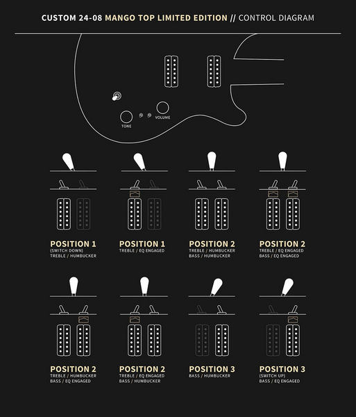 Controls trên Đàn Guitar Điện PRS Custom 24-08 Mango Top Limited Edition