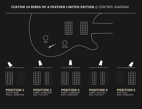 Controls trên Đàn Guitar Điện PRS Custom 24 "Birds of a Feather" Limited-Edition