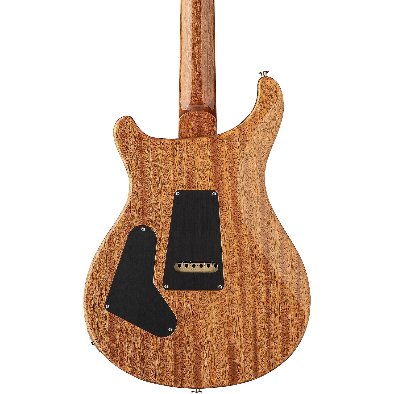 Đàn Guitar Điện PRS Custom 24 "Birds of a Feather" Limited-Edition-Mai Nguyên Music