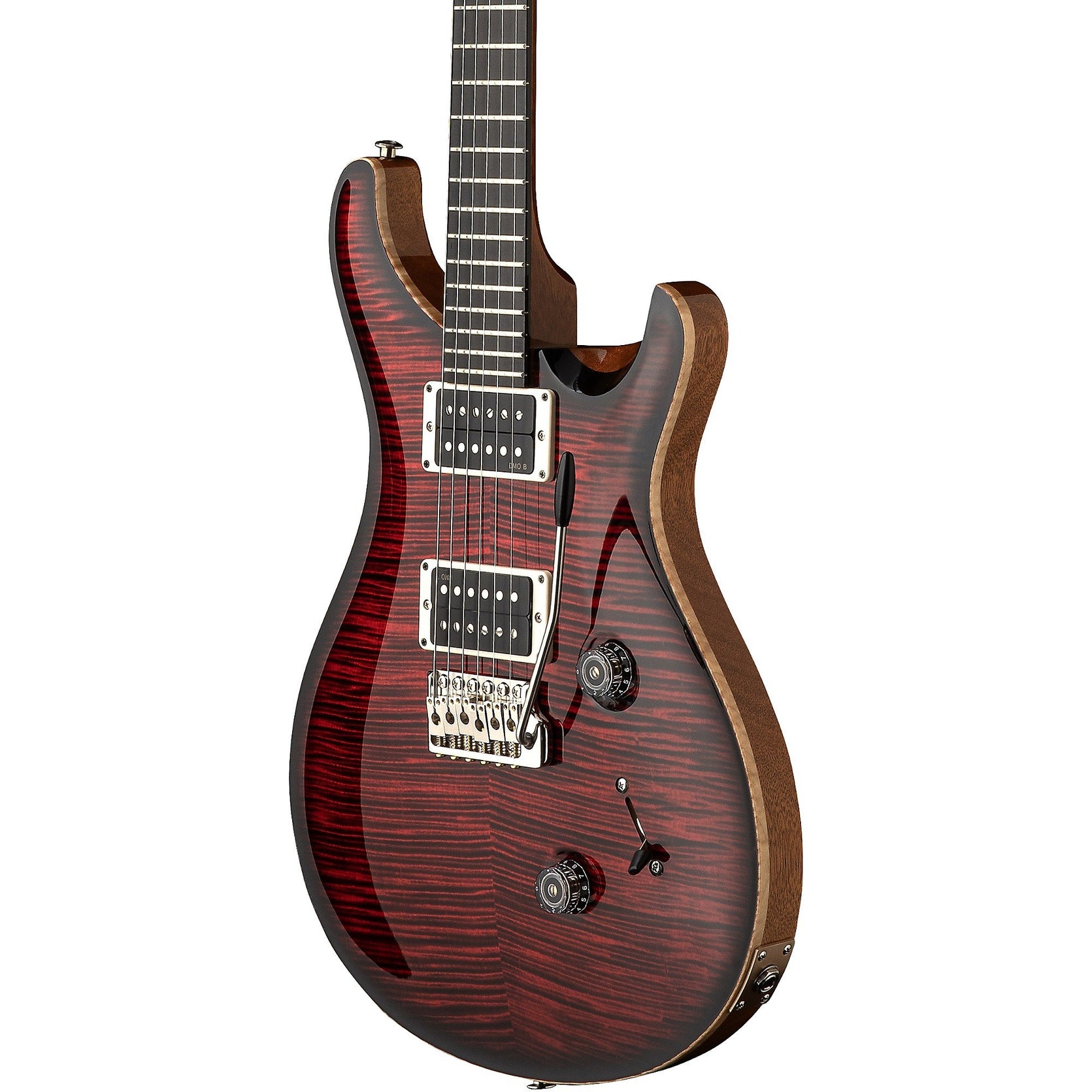 Đàn Guitar Điện PRS Custom 24 "Birds of a Feather" Limited-Edition-Mai Nguyên Music
