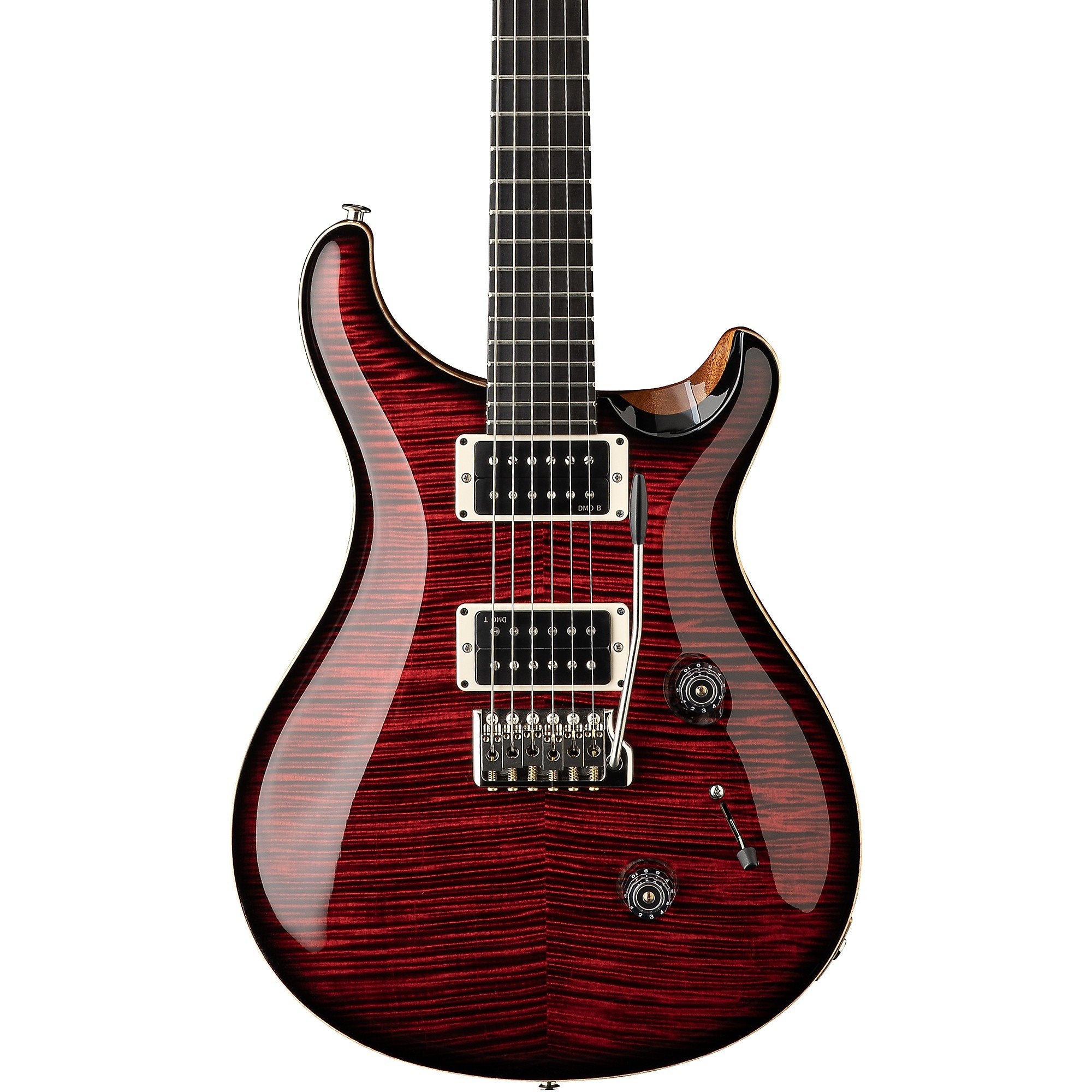 Đàn Guitar Điện PRS Custom 24 "Birds of a Feather" Limited-Edition-Mai Nguyên Music
