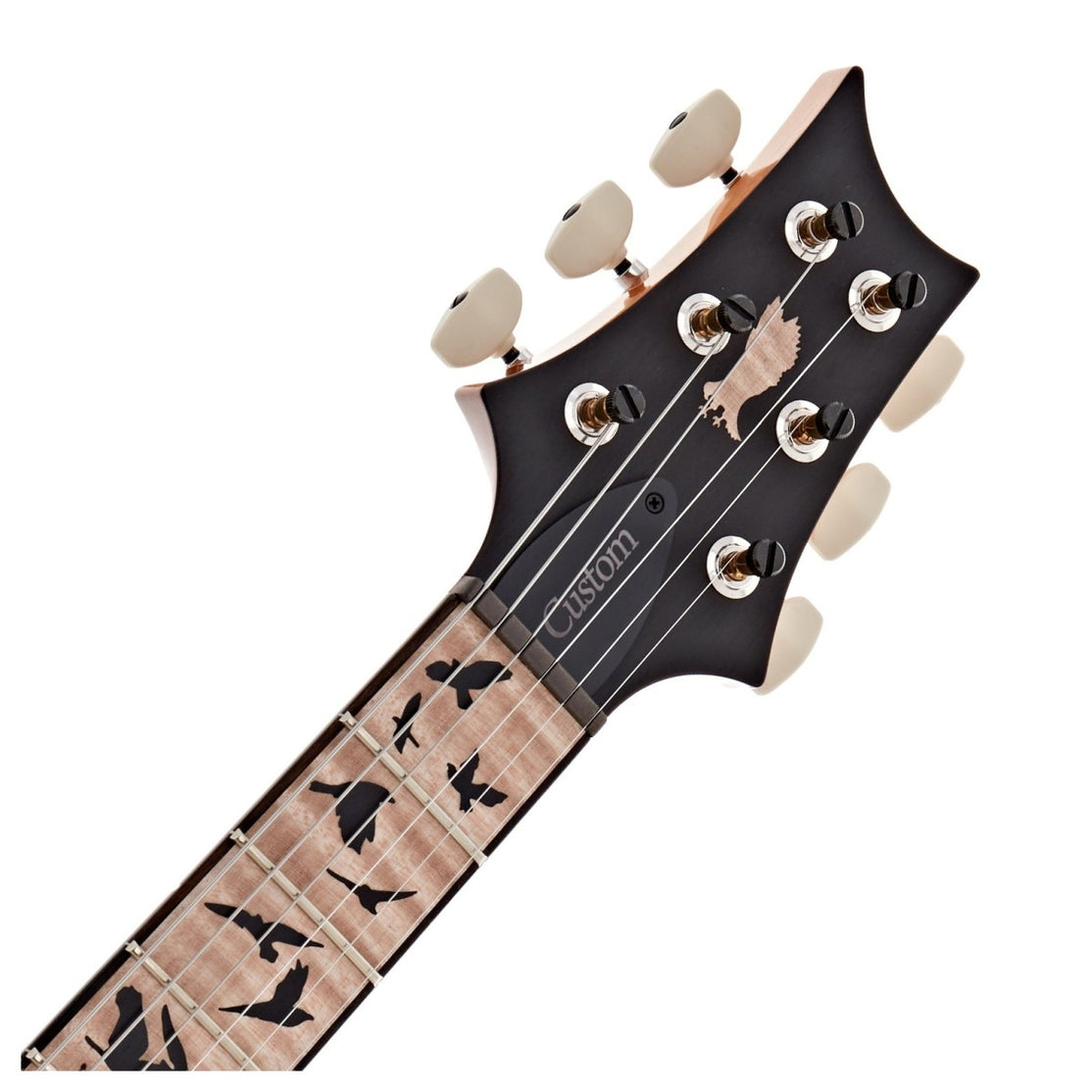 Đàn Guitar Điện PRS Custom 24 "Birds of a Feather" Limited-Edition-Mai Nguyên Music
