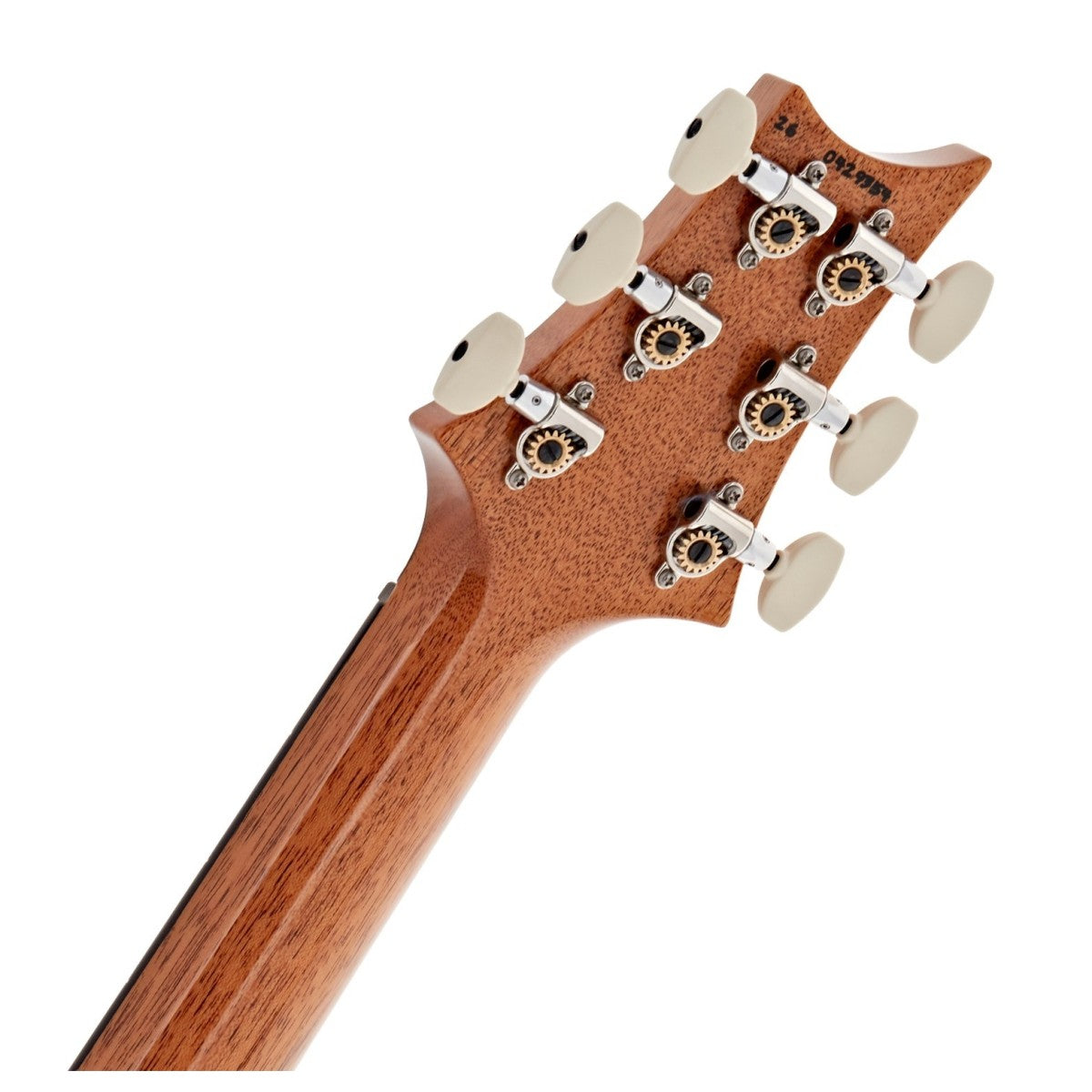 Đàn Guitar Điện PRS Custom 24 "Birds of a Feather" Limited-Edition-Mai Nguyên Music