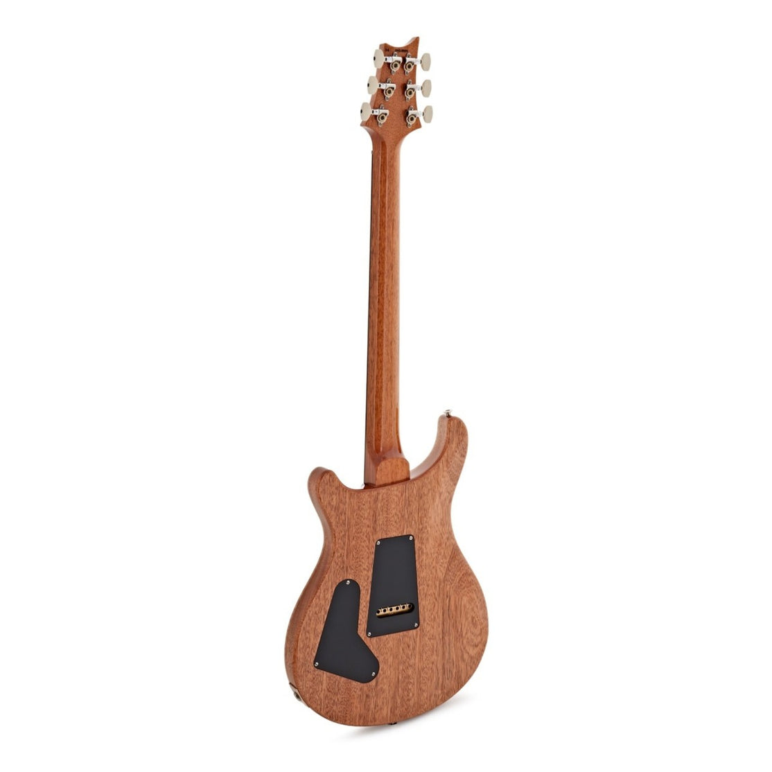 Đàn Guitar Điện PRS Custom 24 "Birds of a Feather" Limited-Edition-Mai Nguyên Music