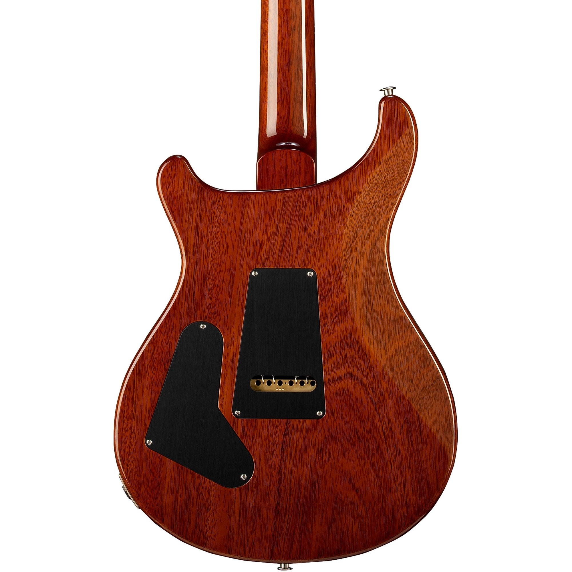 Đàn Guitar Điện PRS Custom 24 "Birds of a Feather" Limited-Edition-Mai Nguyên Music