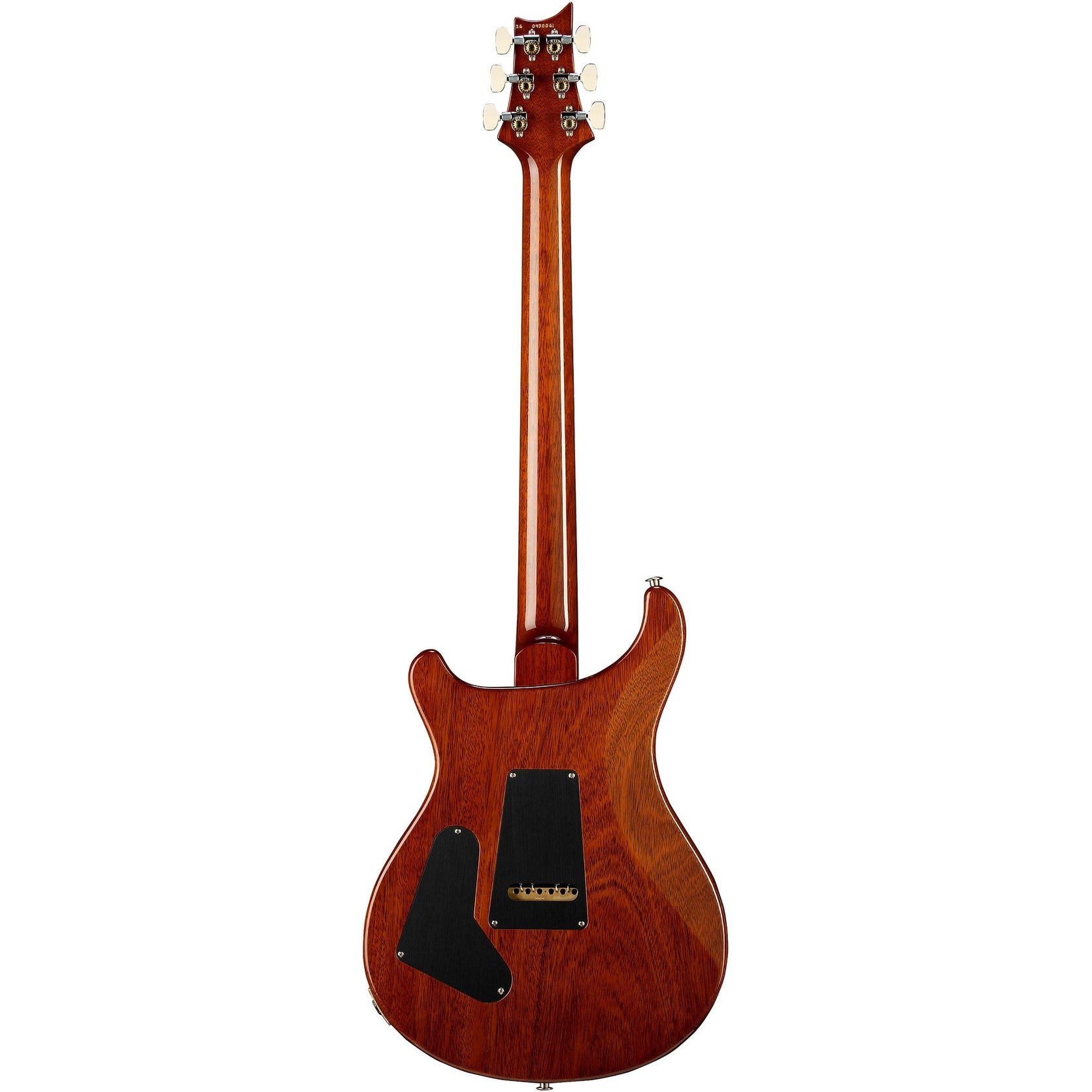 Đàn Guitar Điện PRS Custom 24 "Birds of a Feather" Limited-Edition-Mai Nguyên Music