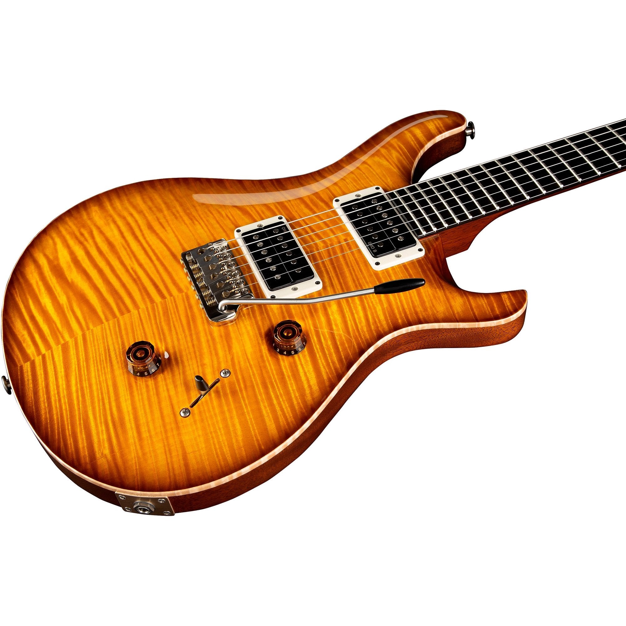 Đàn Guitar Điện PRS Custom 24 "Birds of a Feather" Limited-Edition-Mai Nguyên Music