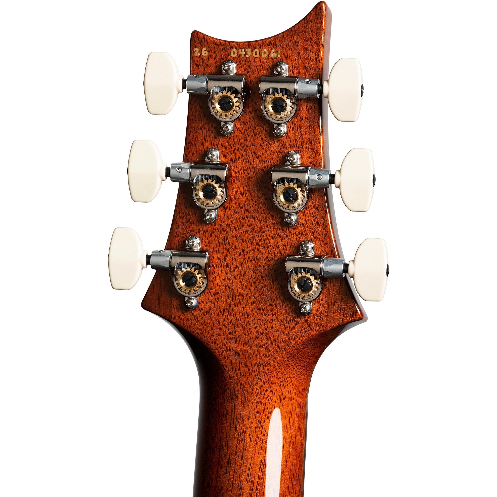 Đàn Guitar Điện PRS Custom 24 "Birds of a Feather" Limited-Edition-Mai Nguyên Music