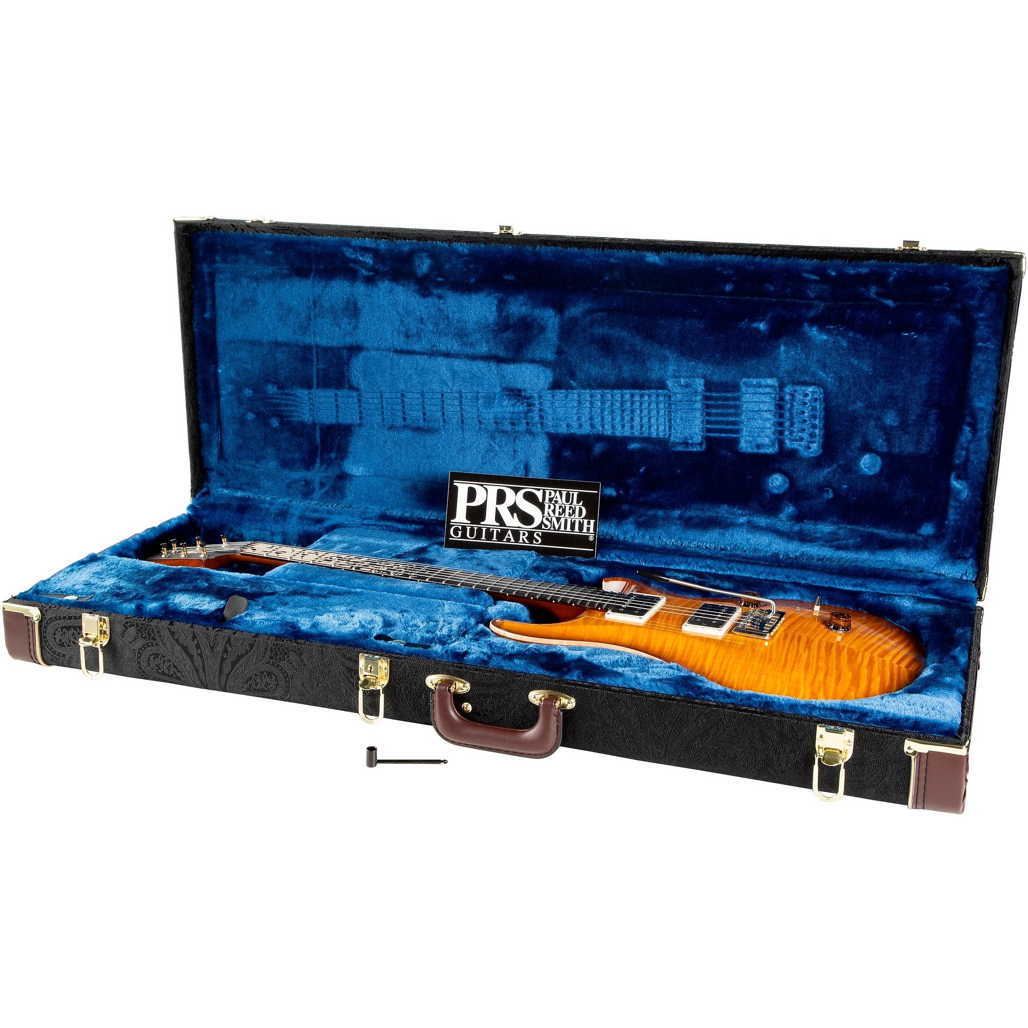 Đàn Guitar Điện PRS Custom 24 "Birds of a Feather" Limited-Edition-Mai Nguyên Music