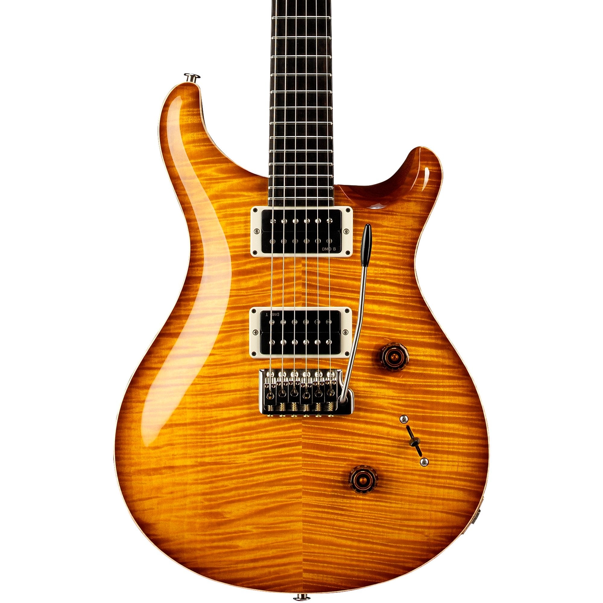 Đàn Guitar Điện PRS Custom 24 "Birds of a Feather" Limited-Edition-Mai Nguyên Music