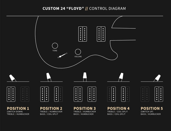 PRS Custom 24 "Floyd", Control Diagram